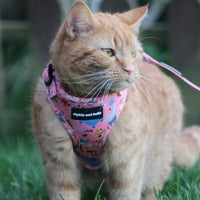 Adjustable Cat Harness - Ellie Funk