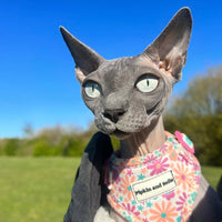 Adjustable Cat Harness - Blossom