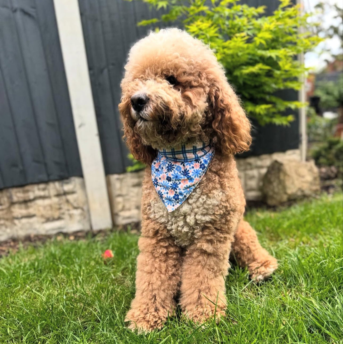 Pet Bandana - Meadow