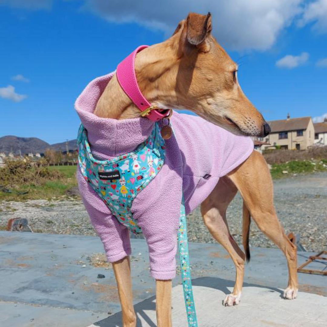 Adjustable Dog Harness - Florrie Bunny