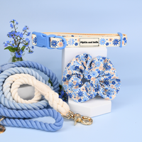 Adjustable Dog Collar - Meadow