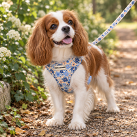 Adjustable Dog Harness - Meadow