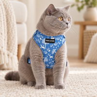 Adjustable Cat Harness - Moonlight Walk