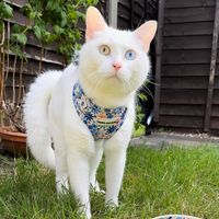 Adjustable Cat Harness - Meadow