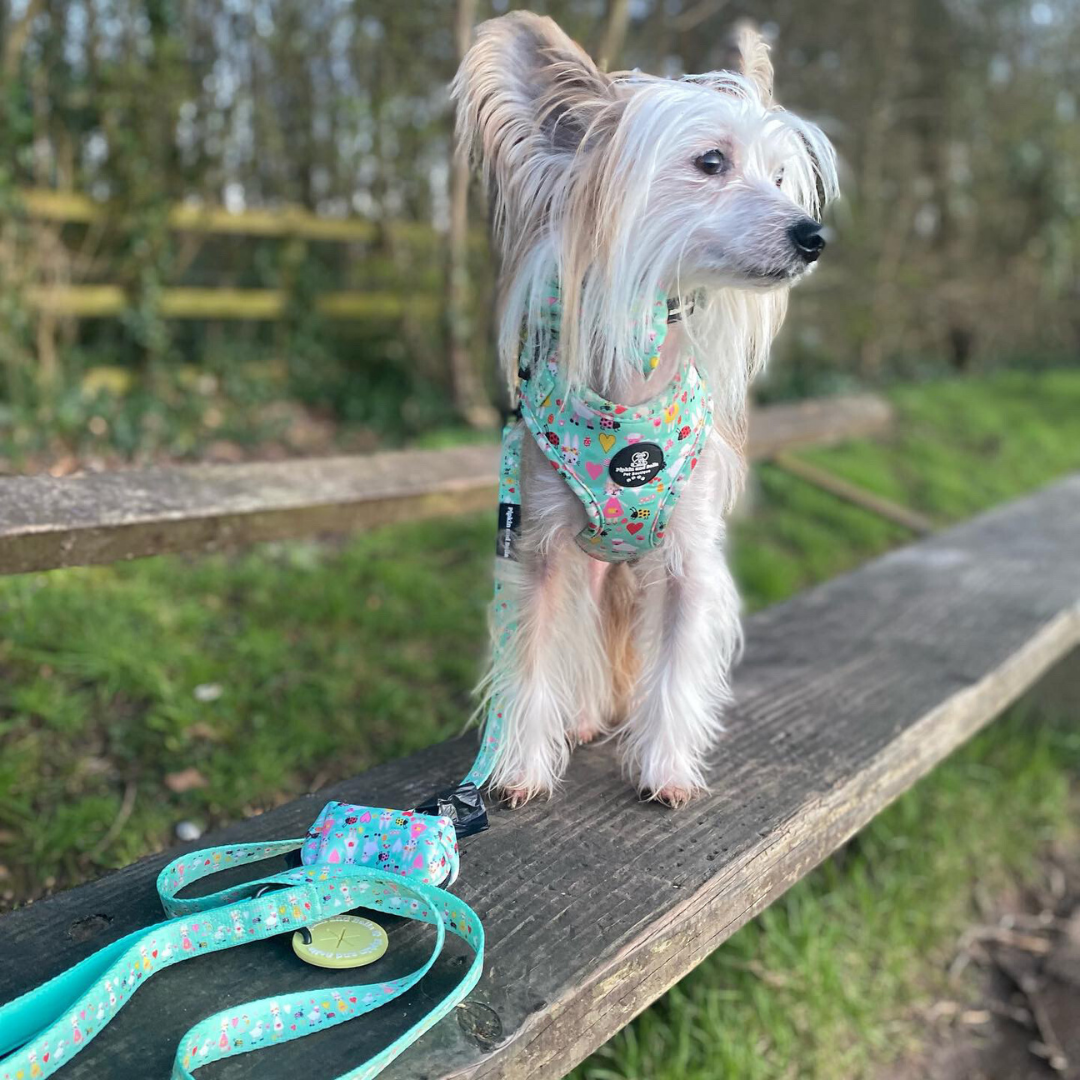 Adjustable Dog Harness - Florrie Bunny