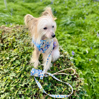 Fabric Dog Lead - Meadow
