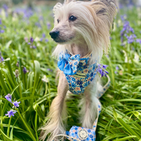 Pet Sailor Bow Tie - Meadow