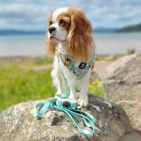 Fabric Dog Lead - Florrie Bunny