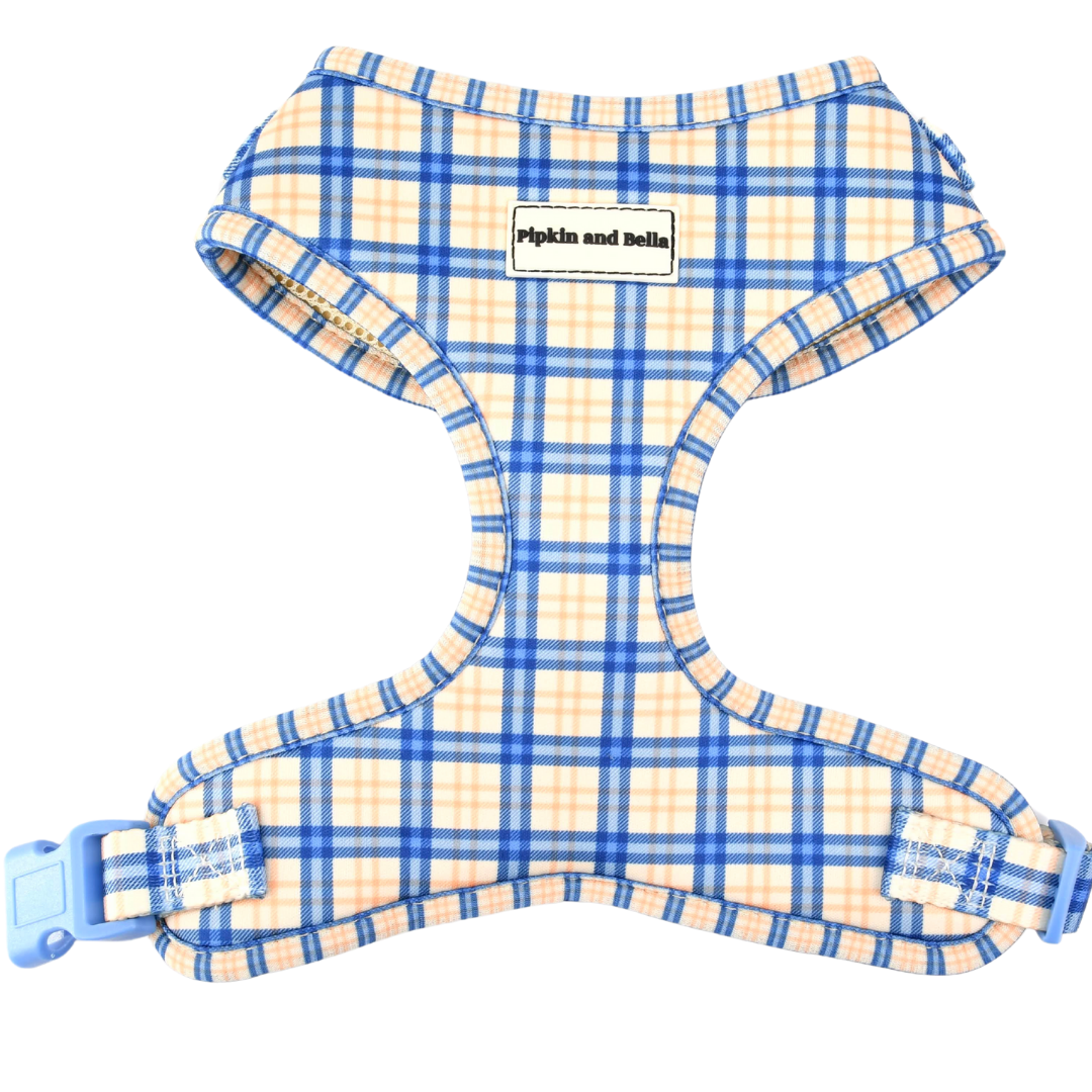 Adjustable Cat Harness - Twilight