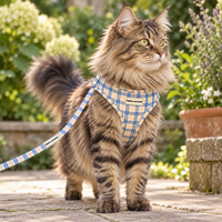 Adjustable Cat Harness - Twilight