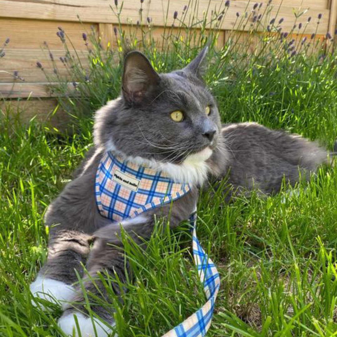 Fabric Cat Lead - Twilight