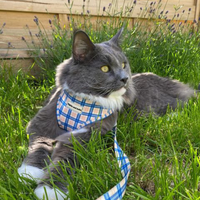 Fabric Cat Lead - Twilight