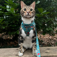 Adjustable Cat Harness - Wellie Walkies