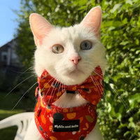 Adjustable Cat Harness - Woody the Snail