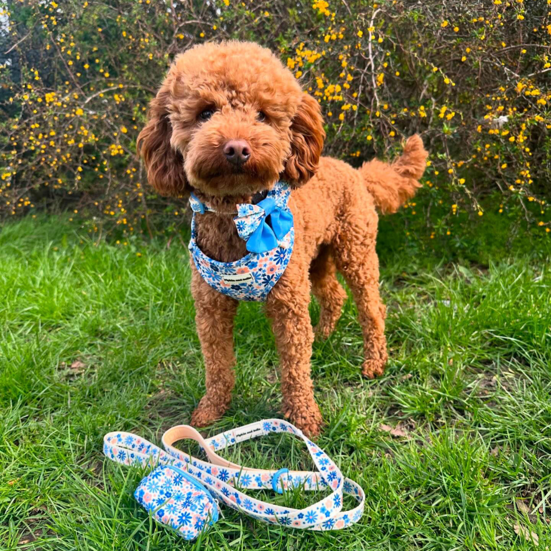 Pet Poop Bag Holder - Meadow