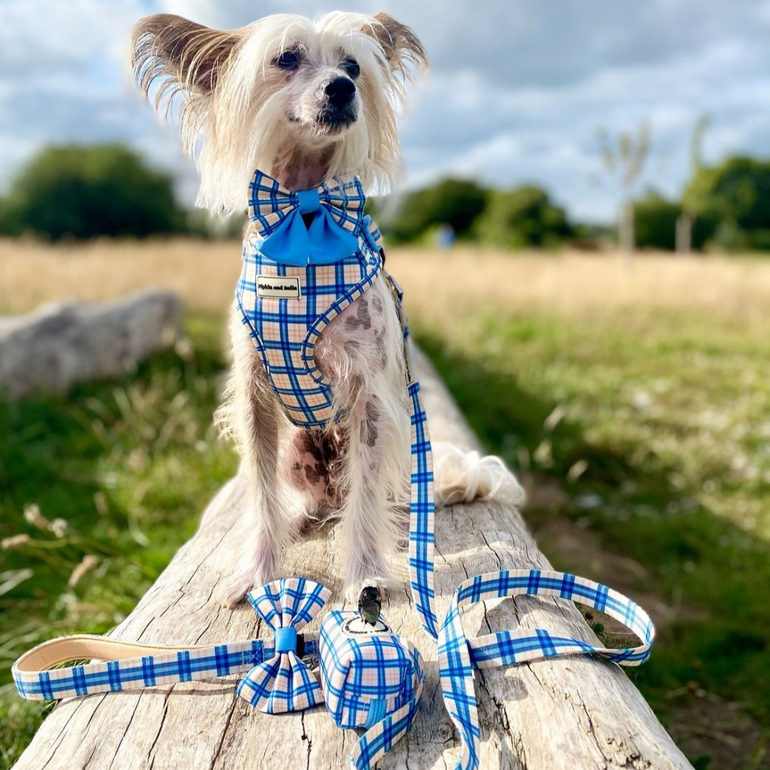 Fabric Dog Lead - Twilight