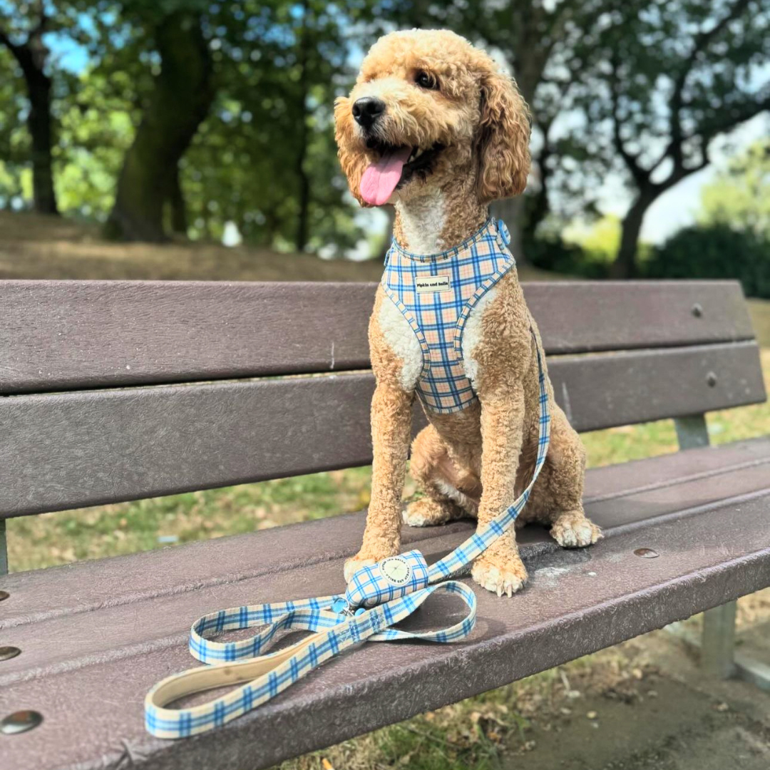 Fabric Dog Lead - Twilight