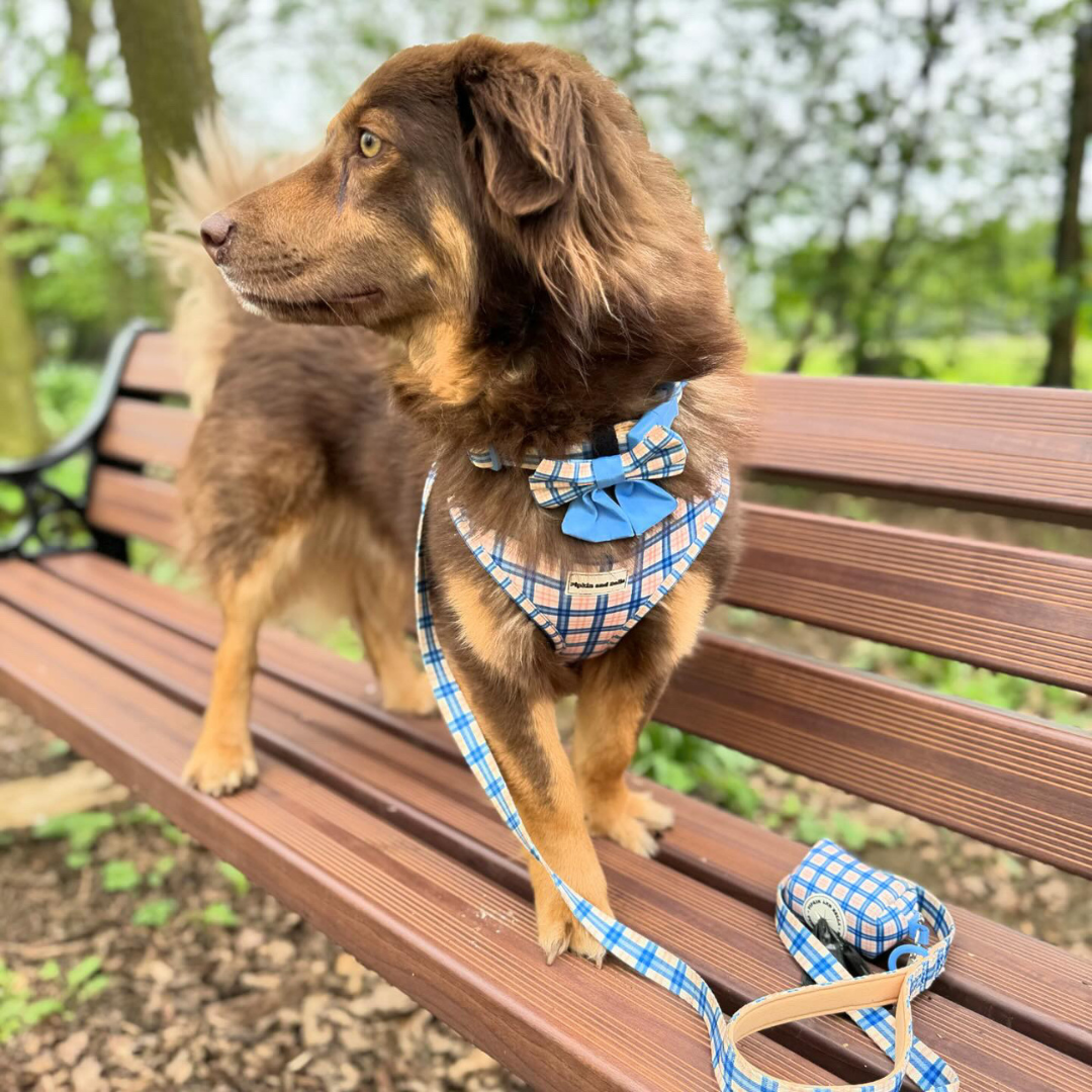 Fabric Dog Lead - Twilight