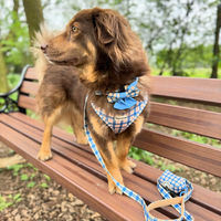 Pet Poop Bag Holder - Twilight
