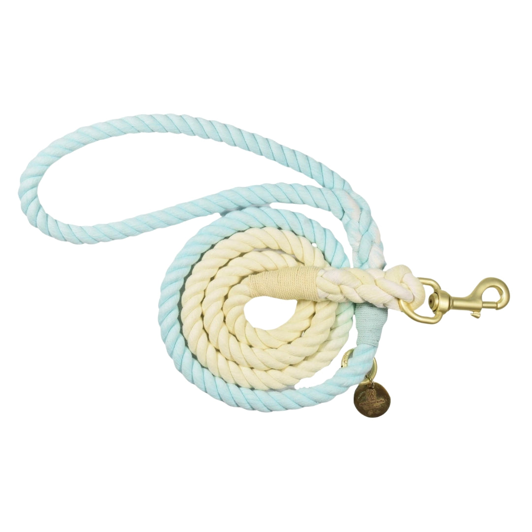 Pipkin and Bella Ombre Rope Dog Lead Beach