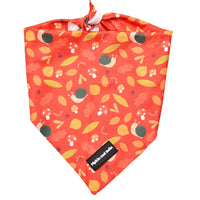 Bandana - Woody the Snail - Pipkin and Bella