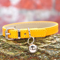 Vegan Cat Collar - Orange - Pipkin and Bella