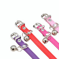 Vegan Cat Collar - Purple - Pipkin and Bella