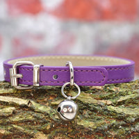 Vegan Cat Collar - Purple - Pipkin and Bella