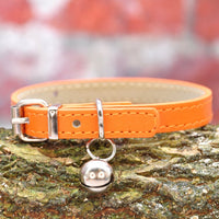Vegan Cat Collar - Tan - Pipkin and Bella