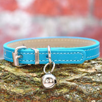 Vegan Cat Collar - Teal - Pipkin and Bella