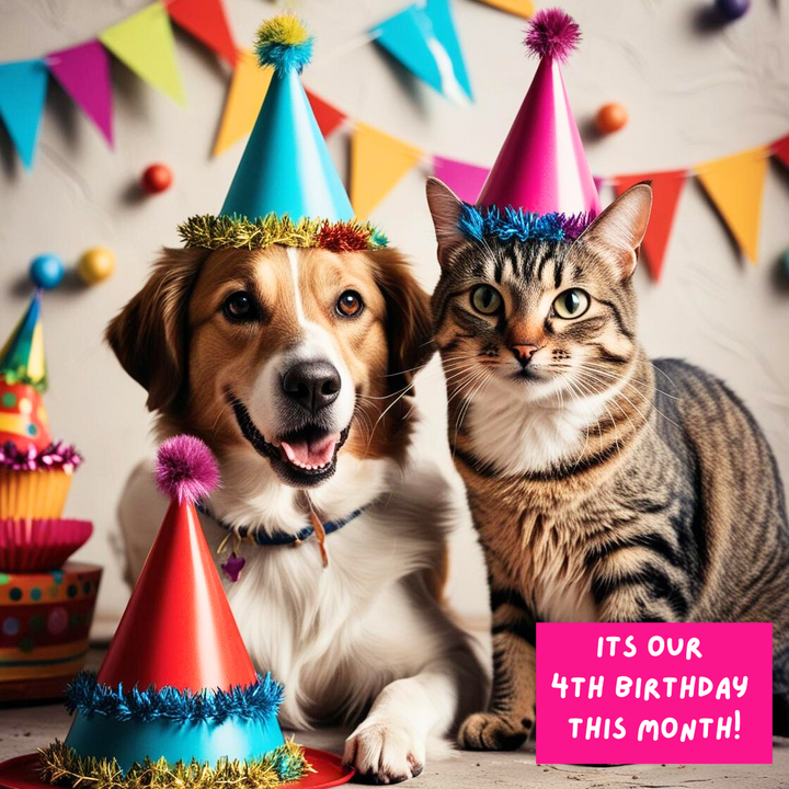 Pipkin and Bella’s 4th Birthday Celebration! 🎉🥳