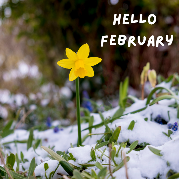 Hello February! The Month of Love is Here