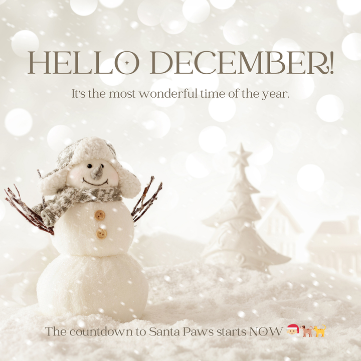 The Countdown to Santa Paws is On
