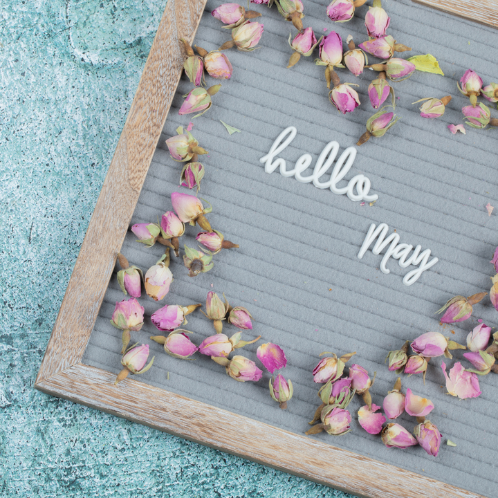 May! A Brand New Month of Tail Wags and Sunshine