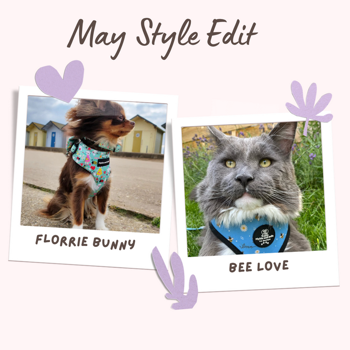 May Style Picks Are Here!