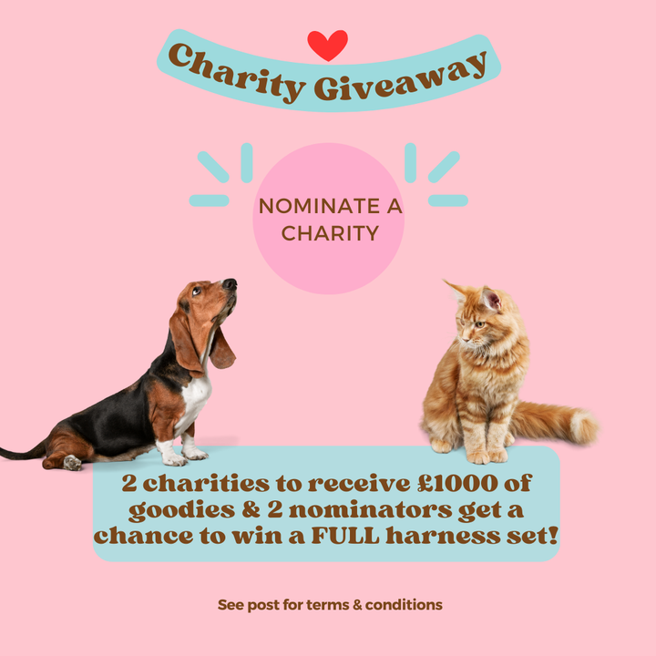 🌟 CHARITY GIVEAWAY ALERT 🌟