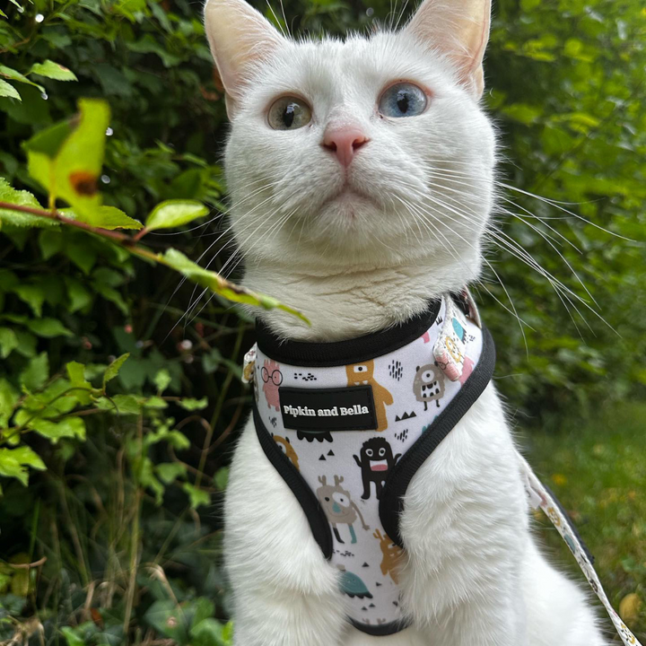 Autumn Adventures: Best Places to Visit in September (UK) with Pets
