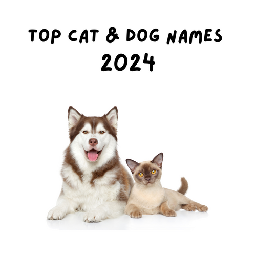 Top Dog and Cat Names in the UK for 2024