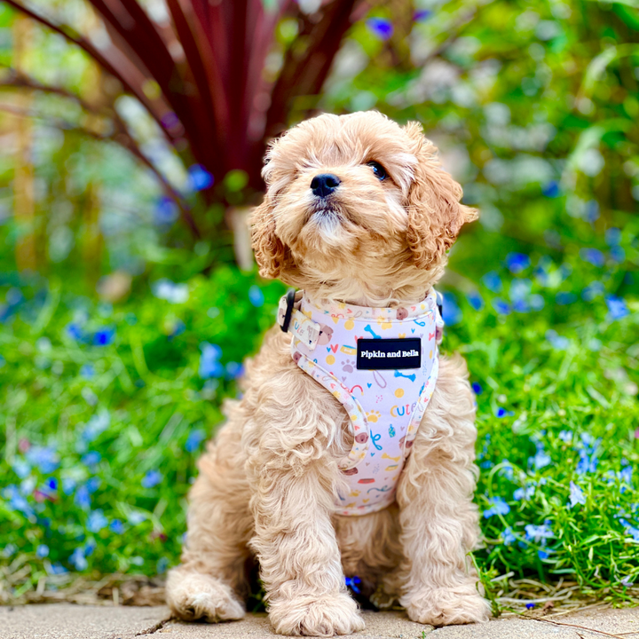 Sneak Peek – What’s Wagging into Pipkin and Bella in September…