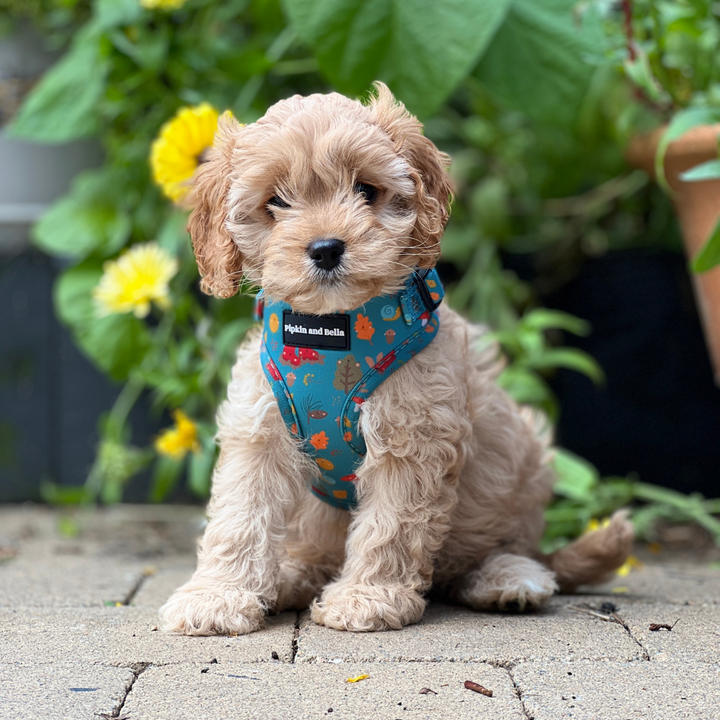 Lexi wearing Wellie Walkies Harness Set