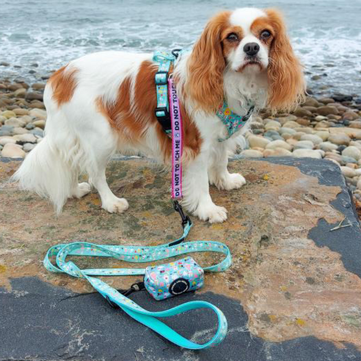 Tilly at the beach wearing Florrie Bunny