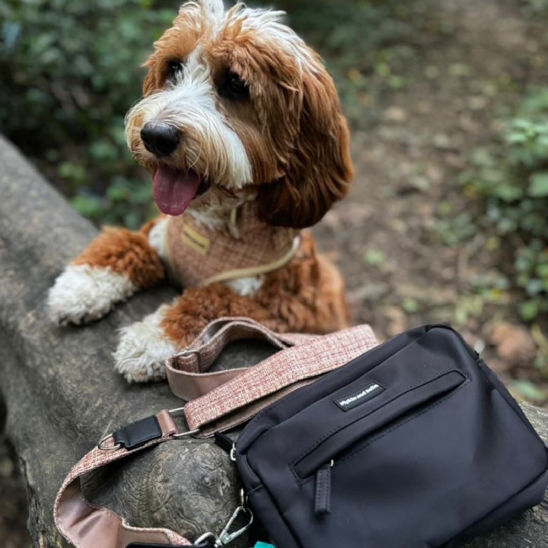 Walking Bag - Midnight Black