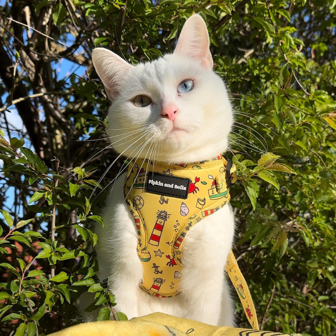 Adjustable Cat Harness - Paws Ahoy