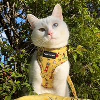 Adjustable Cat Harness - Paws Ahoy