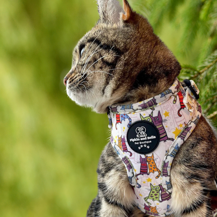 Adjustable Cat Harness - Kitty Cool Cats