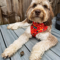 Adjustable Dog Harness - Woody the Snail