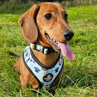 Adjustable Dog Collar - Safari