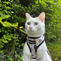 Adjustable Cat Harness - Monster Mash