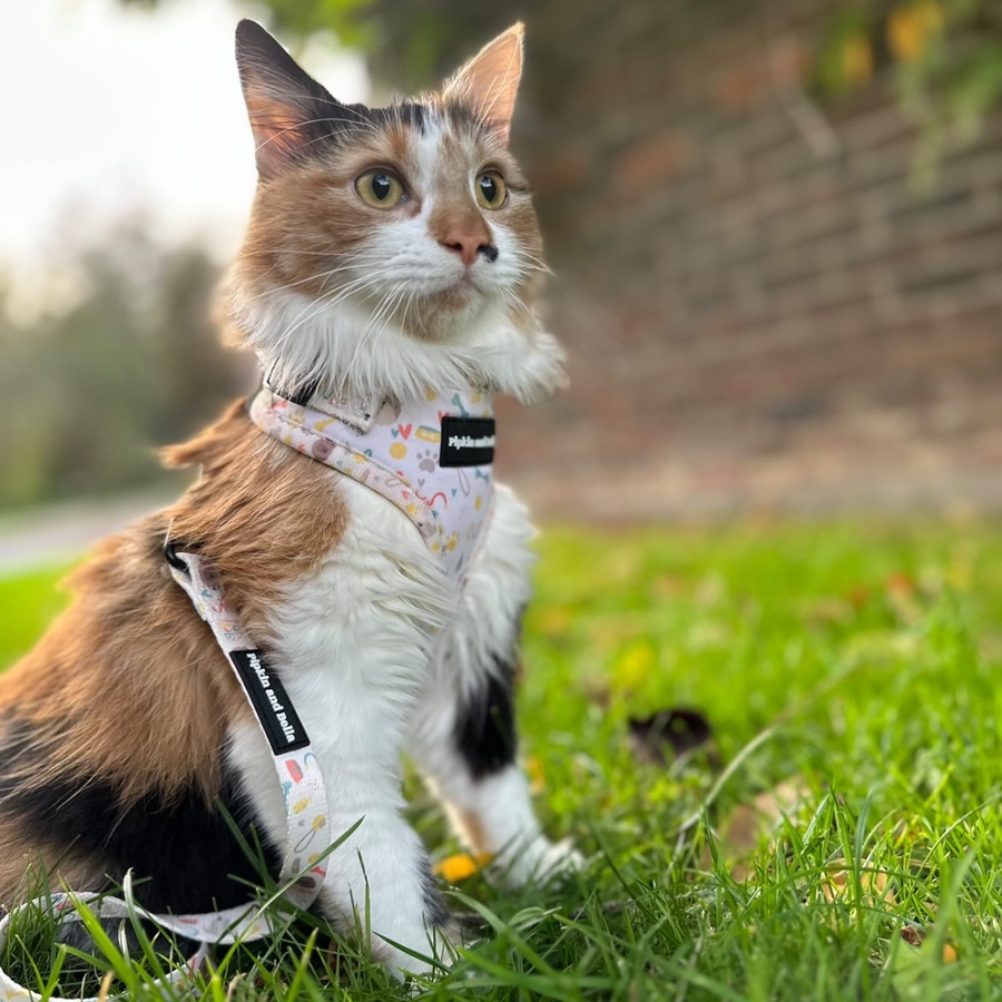 Fabric Cat Lead - Cute Fur Baby