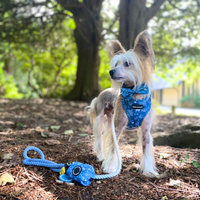 Pet Poop Bag Holder - Moonlight Walk